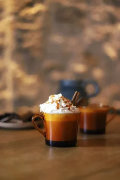 Duralex Tasses>Lys - Tasse en verre Vermeil 18 cl